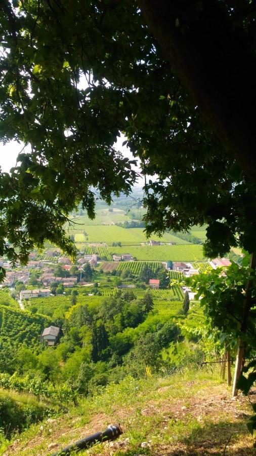 Seven Suites Pieve Pieve di Soligo Exterior photo